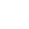 auctionusdt
