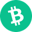 Bitcoin Cash Tether logo