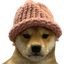 dogwifhat Tether logo