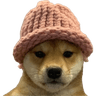 wifusdt