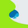 Capgemini SE logo